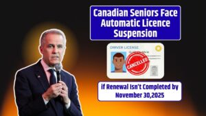 Canadian Seniors Face Automatic Licence Suspension