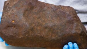 Man Keeps Rock For Years, Hoping It's Gold